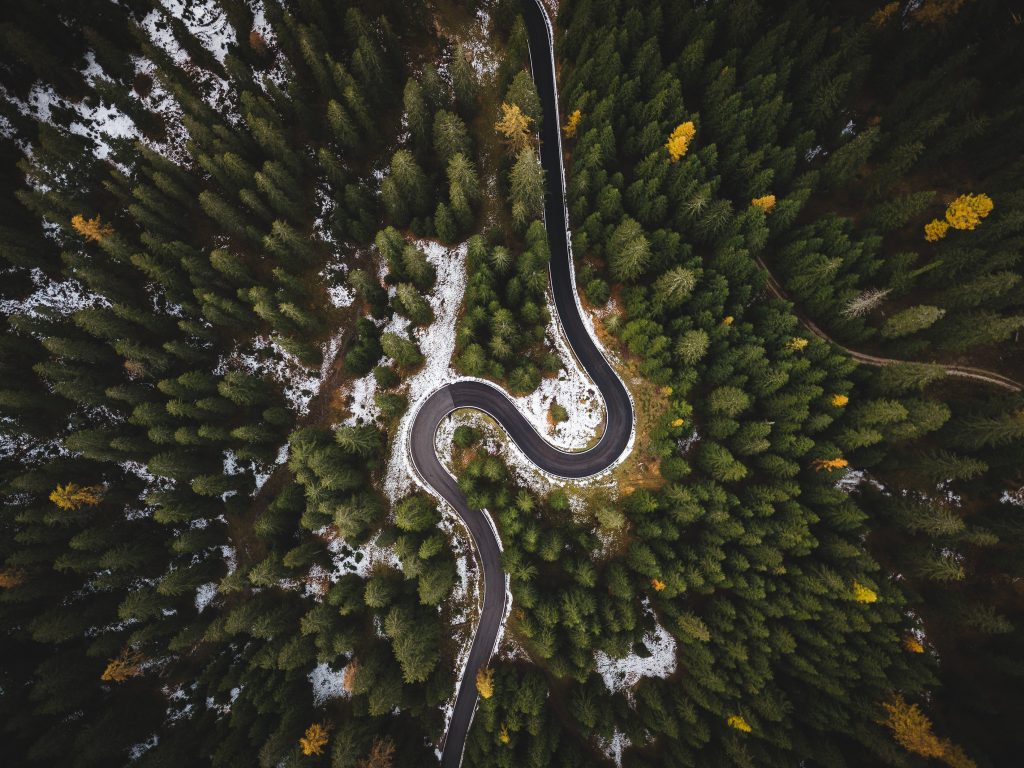 Road trip de noces au Canada - route serpentant à travers la forêt